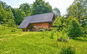 Domek z Piernika 729-656-514